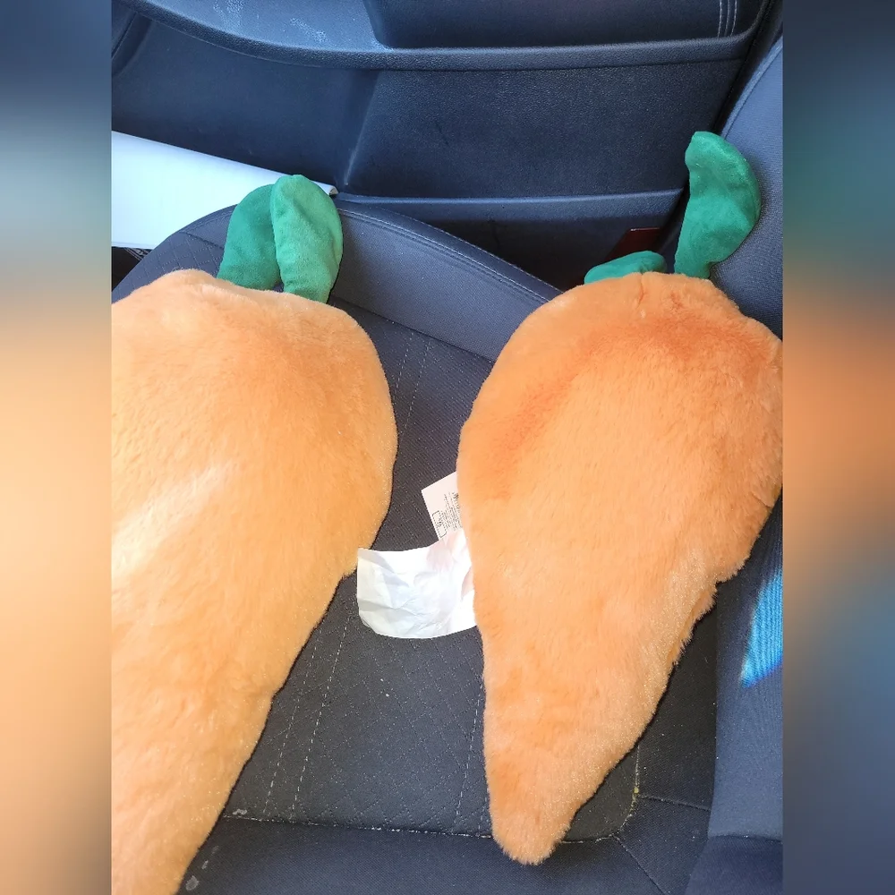 2 Target bullseye carrot pillow